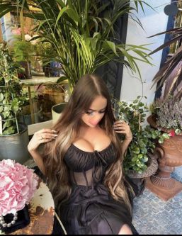  , , +7 (991) 647-3016