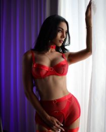 ����������� ����, 24, ������������