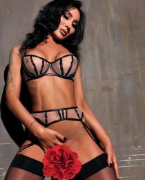 ����������� �������, 28, ������������